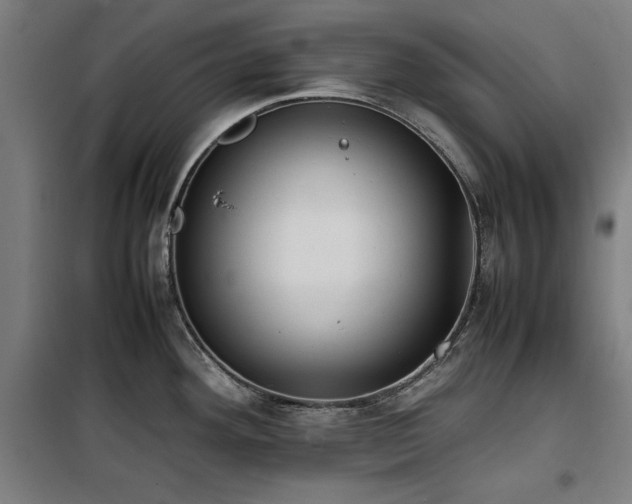 X0000100191292200805301239