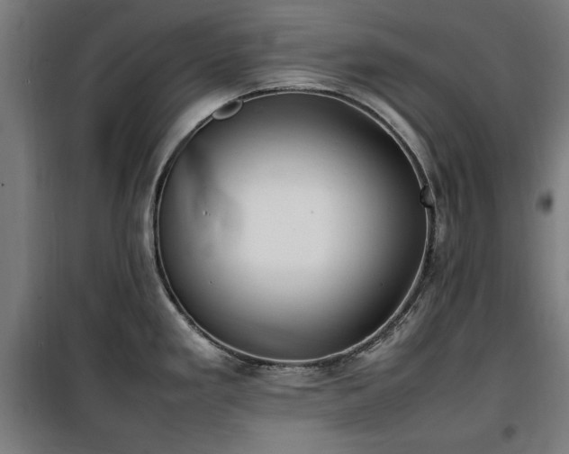 X0000100191293200805301239