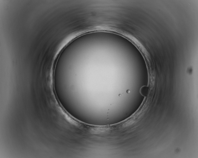 X0000100191294200805301239