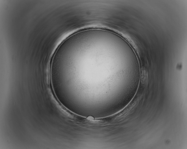 X0000100191295200805301239