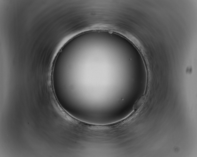 X0000100191296200805301239