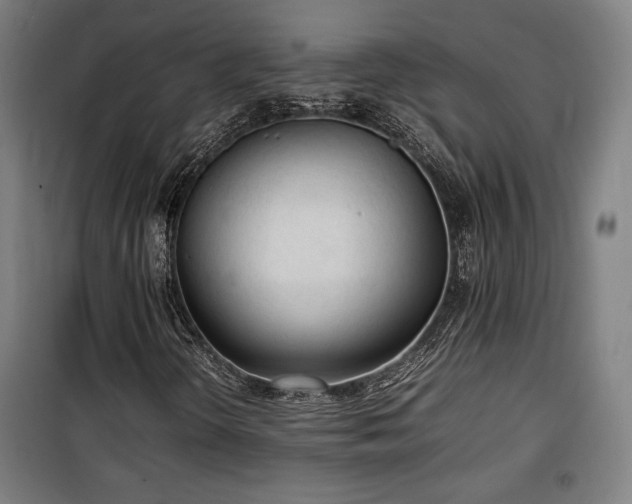 X0000100191298200805301239