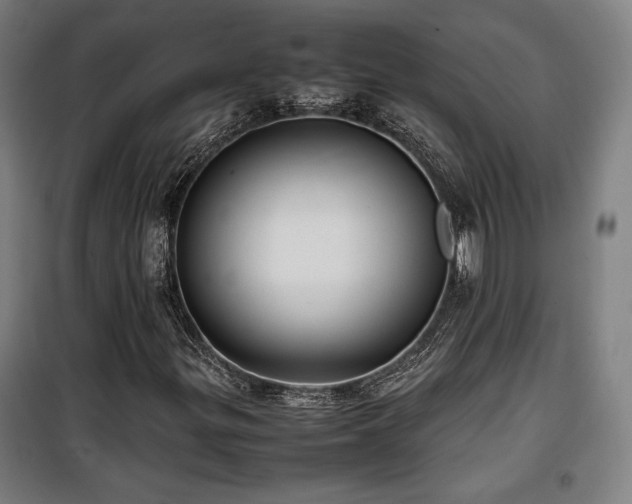 X0000100191299200805301239
