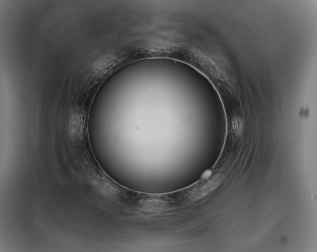 X0000100191300200805301239