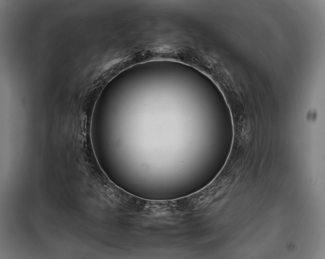 X0000100191301200805301239