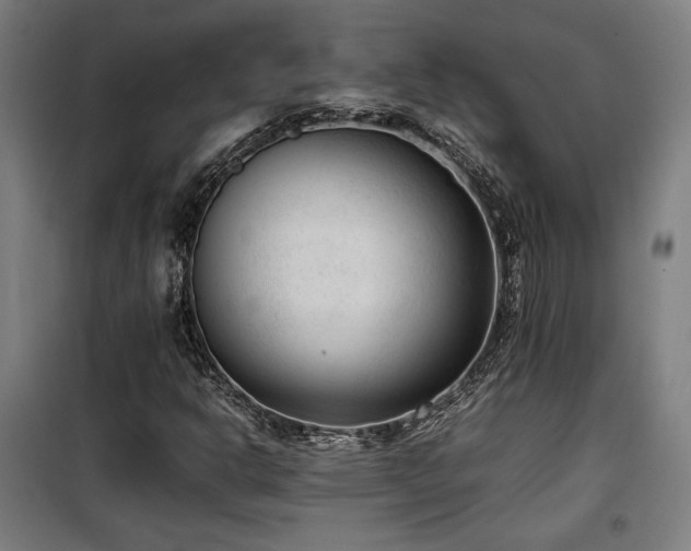 X0000100191302200805301239