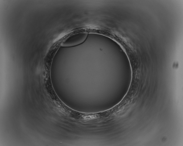 X0000100191303200805301239