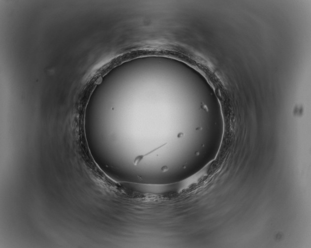 X0000100191304200805301239
