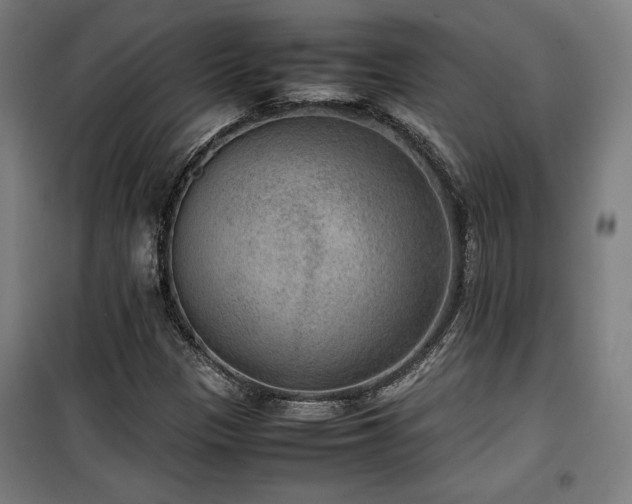 X0000100191305200805301239