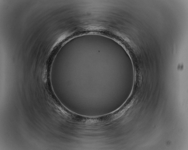 X0000100191306200805301239