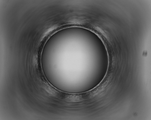 X0000100191307200805301239