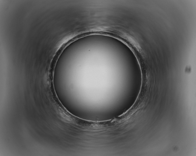 X0000100191308200805301239