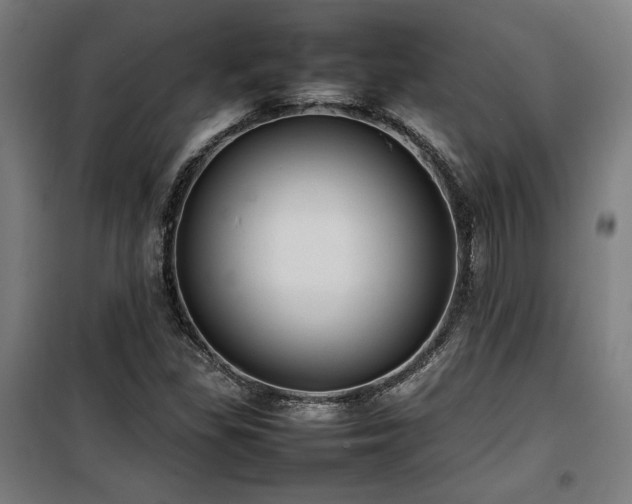 X0000100191309200805301239