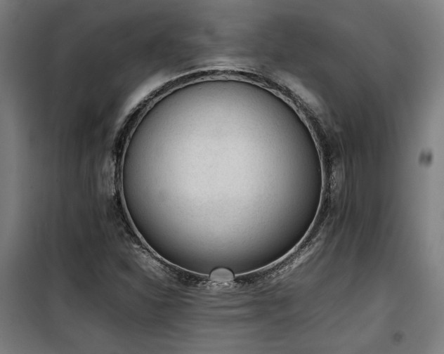 X0000100191310200805301239