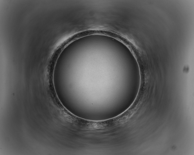 X0000100191311200805301239