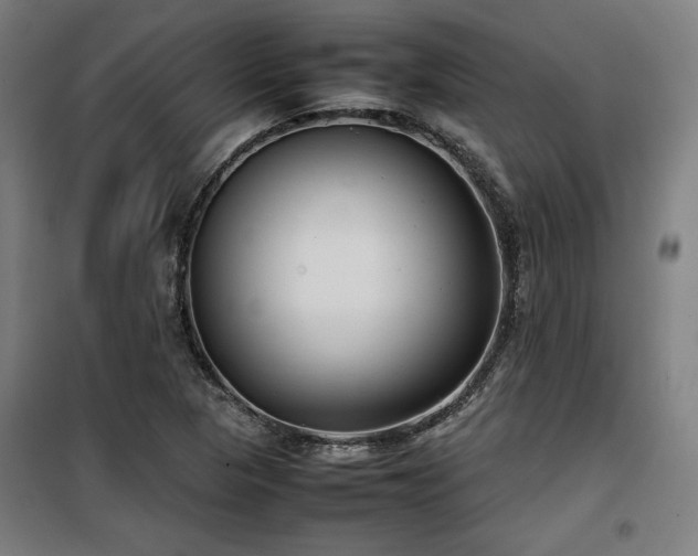 X0000100191313200805301239