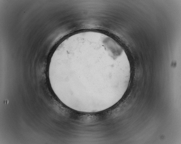 X0000100191314200805301239