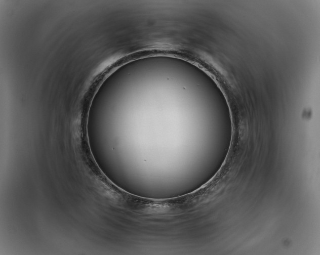X0000100191315200805301239
