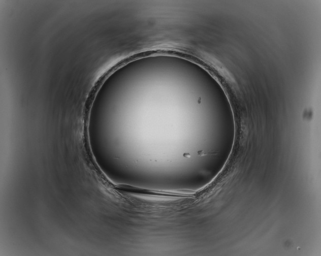 X0000100191316200805301239