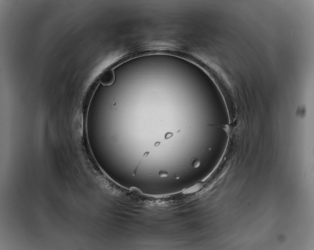 X0000100191317200805301239