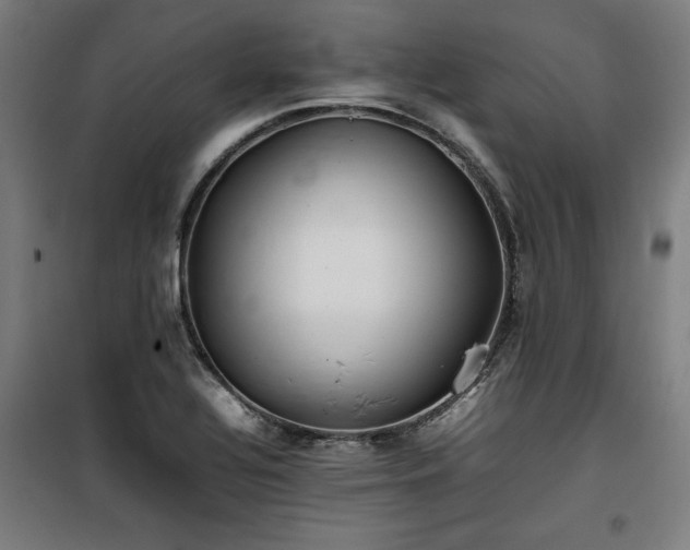 X0000100191320200805301239