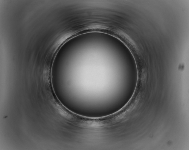X0000100191321200805301239