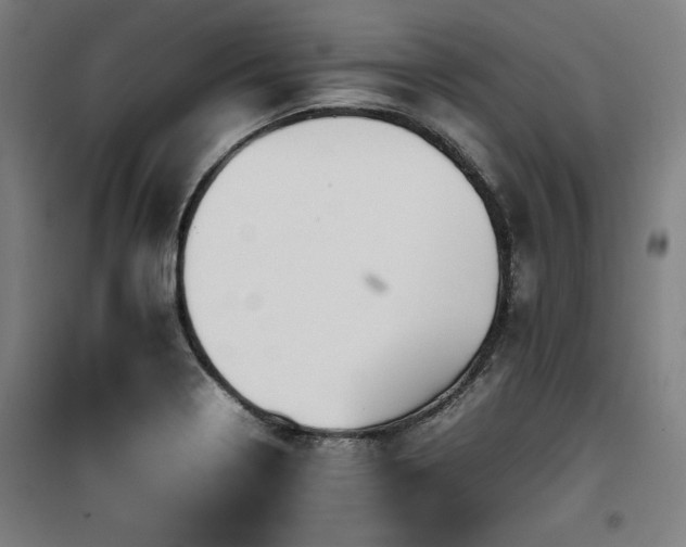 X0000100191322200805301239