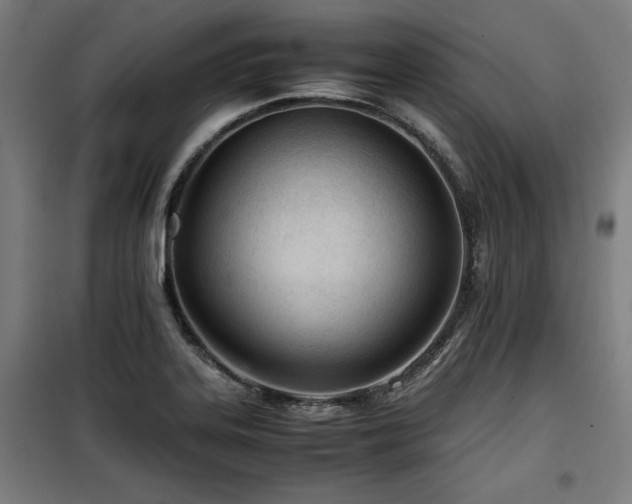 X0000100191323200805301239