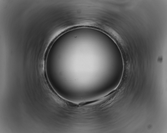 X0000100191324200805301239