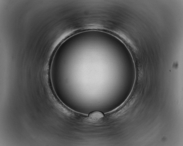 X0000100191325200805301239