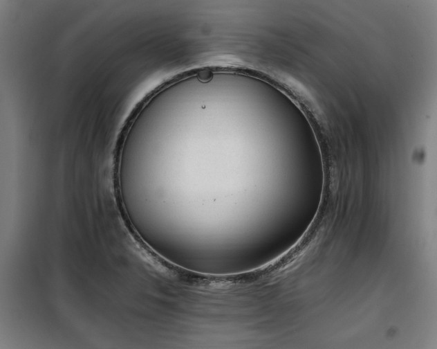 X0000100191326200805301239