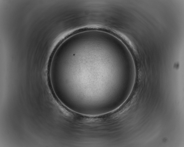 X0000100191327200805301239