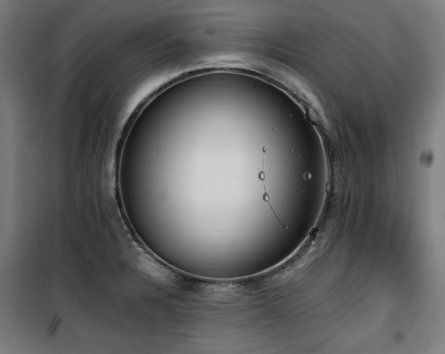 X0000100191328200805301239