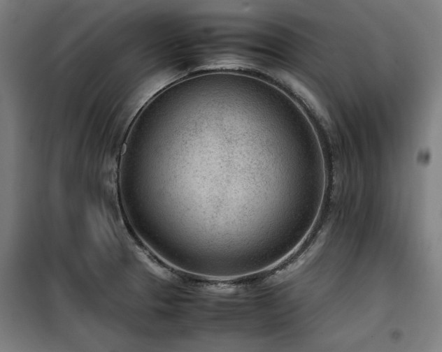 X0000100191329200805301239