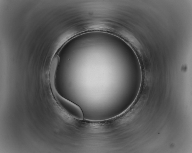 X0000100191330200805301239