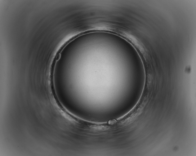 X0000100191331200805301239
