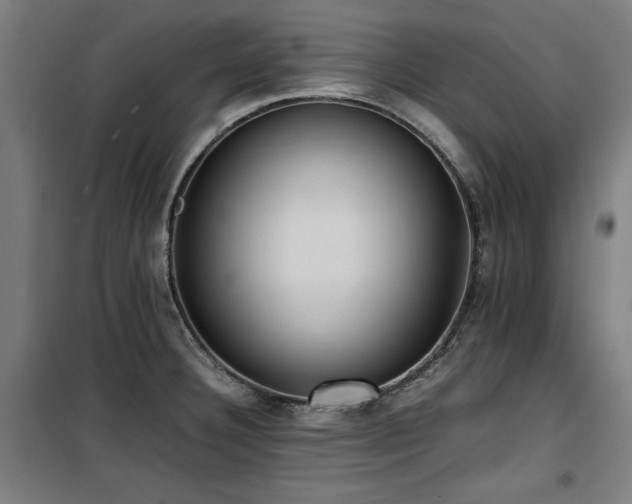 X0000100191332200805301239