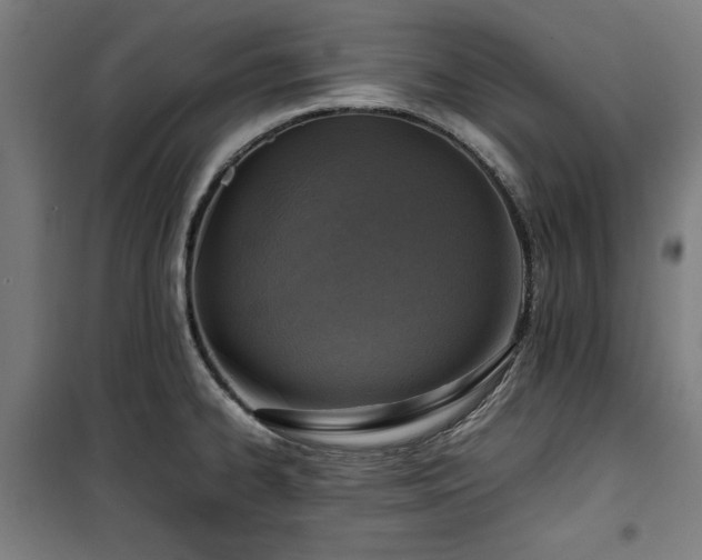 X0000100191334200805301239