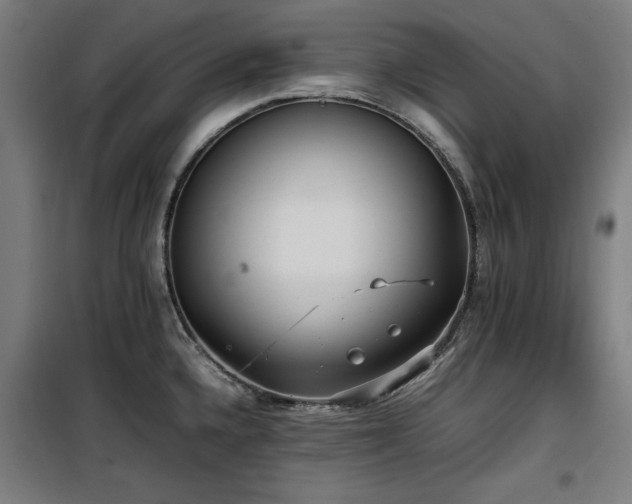 X0000100191336200805301239