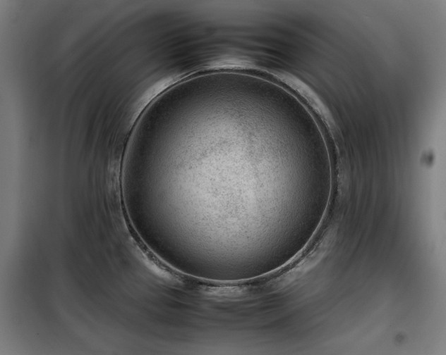X0000100191337200805301239
