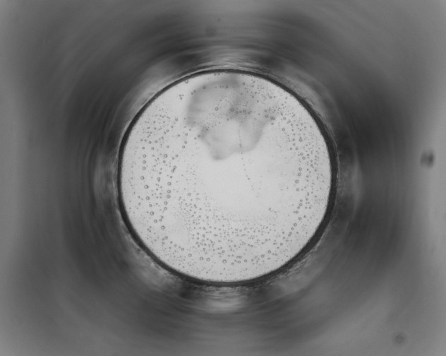 X0000100191338200805301239
