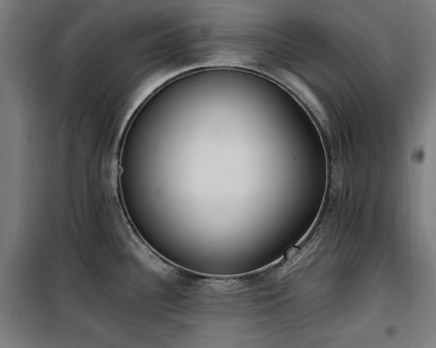 X0000100191340200805301239