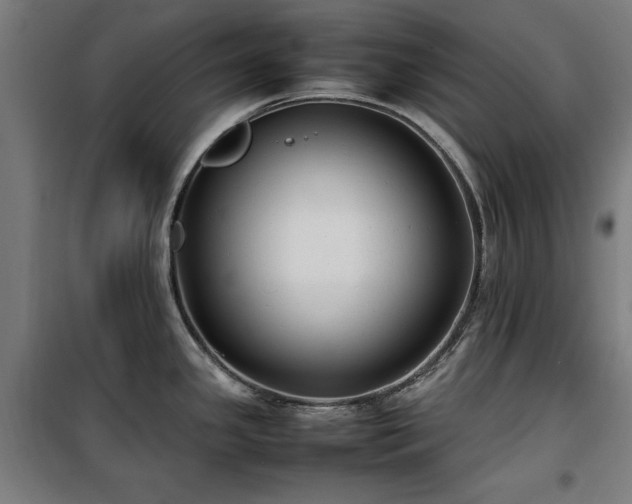 X0000100191341200805301239