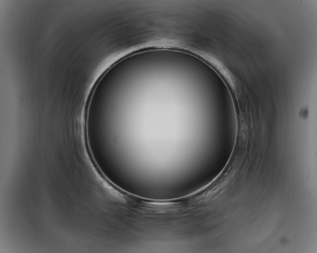 X0000100191343200805301239