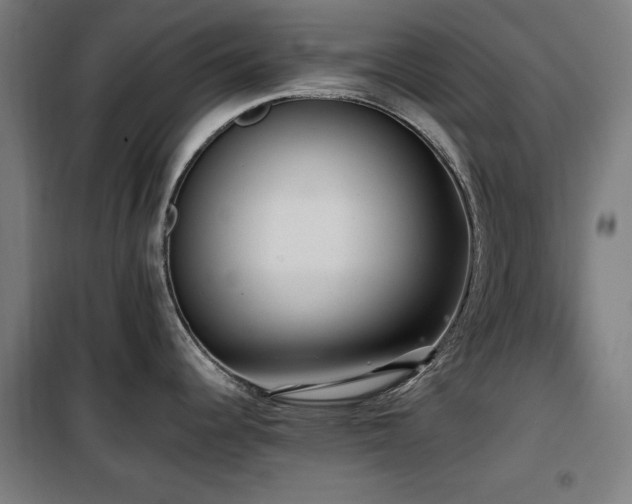 X0000100191344200805301239
