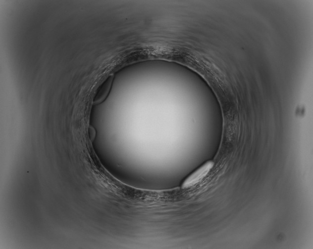 X0000100191345200805301238