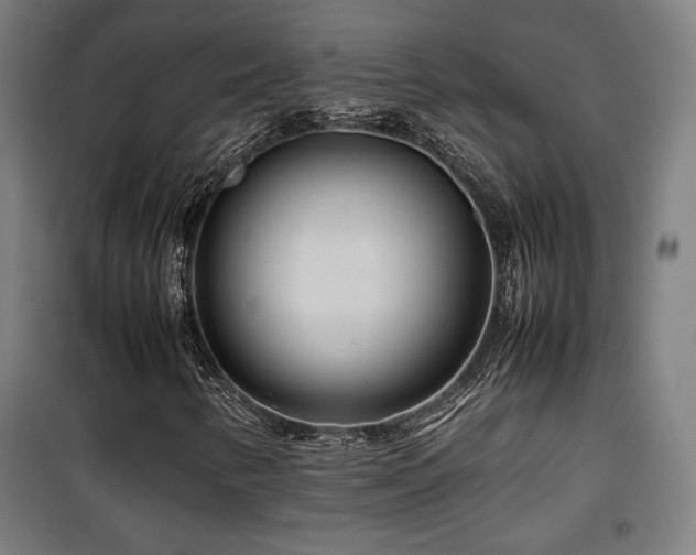 X0000100191346200805301238