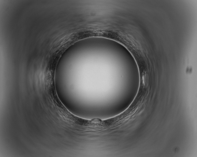 X0000100191347200805301238