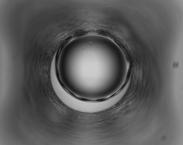 X0000100191348200805301238