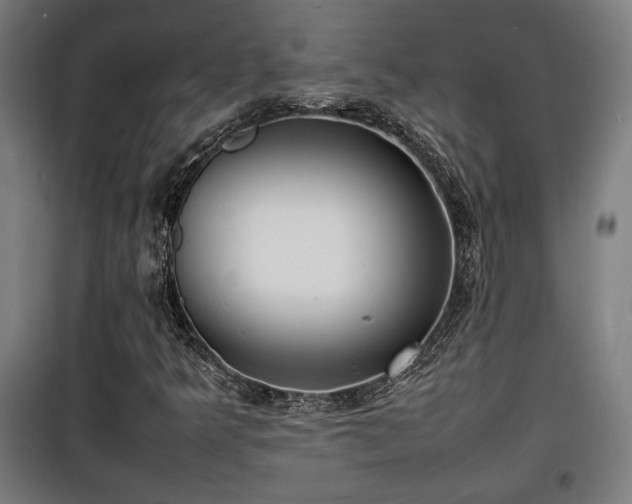 X0000100191349200805301238